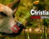 hundetrainer-online.ch