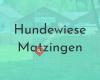 Hundewiese Matzingen