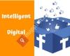 Intelligent Digital Solutions