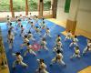 Ippon Karate Club Tivoli - Geneva