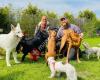 Joy-Dog Hundezentrum