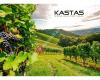 Kastas - Weine aus Portugal