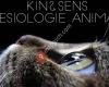 Kin&sens - kinésiologie animale
