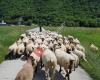 La Bergerie Des Ronques À Dorenaz - Suisse