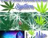 Lebst Du schon Cannabinoid?