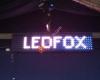 LedFox AG