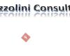 Mazzolini Consulting