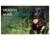 Mensch-Hund Therapie