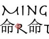 Ming Karate