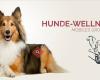 Nell Hunde-Wellness. Mobiles Grooming