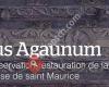 Opus Agaunum