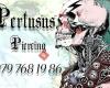 Pertusus