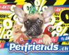 Petfriends.ch - Biel/Bienne