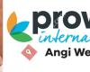 Prowin - Angi Wenk