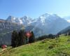 Pure Switzerland - Tours & Guiding Interlaken