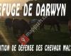 Refuge De Darwyn