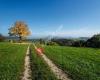 Regionaler Naturpark Schaffhausen