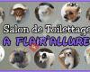 Salon de toilettage A Flair'allure