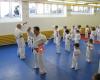 SSKO Swiss Shorin Ryu Karate Do Organisation