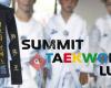 Summit Taekwondo Lugano