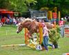 Swiss Horse Agility