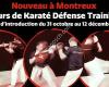Swiss Karate Defense Training