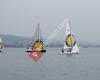 Swiss Sailing School, Segelschule Motorbootschule Bodensee