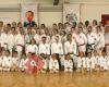 Taekwon-Do Akademie Schweiz