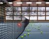 Tennis & Squash Zentrum St.Moritz