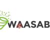 Waasabi