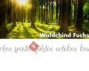 Waldchind Fuchstraeff