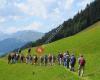 Walservereinigung Graubünden