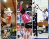 YnK Sports - Volleyball Agency